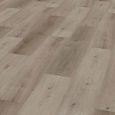 Wineo 400 Wood DB00106 Grace oak smooth
