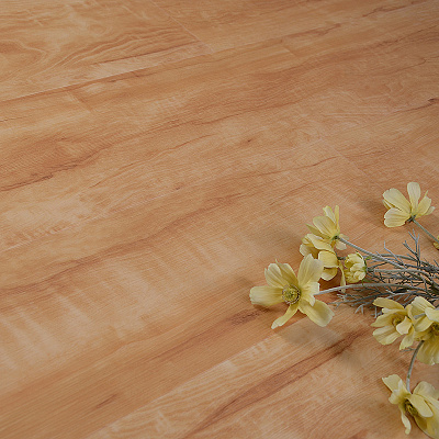 Evofloor Optima Click Oak Amber
