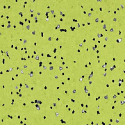 Sphera EC 450049 yellow green - 2.0