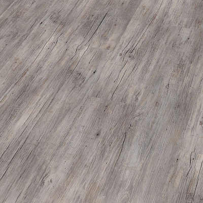 Wineo 800 Wood DB00082 Riga Vibrant Pine Сосна рига яркая
