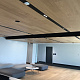 Par-ky Pro 06  Ivory oak Premium лак