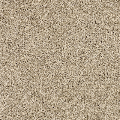 Echo 334