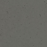 Sphera Energetic 50215 ebony - 2.0