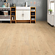 Tritty 100 Gran Via 4V 533140 Дуб Портлэнд Пуро