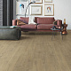 QS LIVYN Balance Click BACL 40159 Дуб бархатный песочный