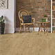 Kronotex Exquisit Plus  D4694 Дуб Мадрид