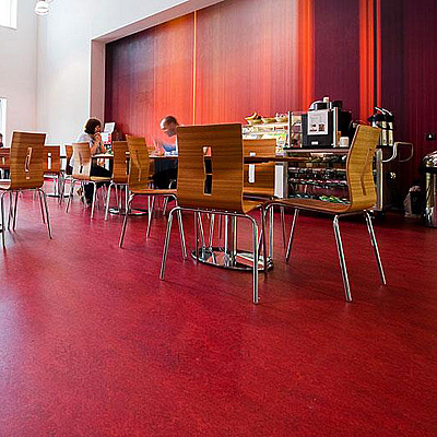 Marmoleum Marbled Real 3127 Bleeckerstreet - 2.5