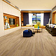 Skalla Standart ST306 Дуб Хурдал (Oak Hurdal)