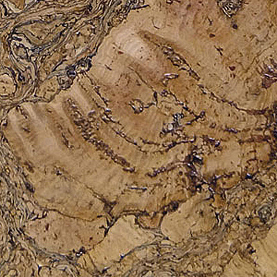 Corkart Lite HDF CM3 333v NN